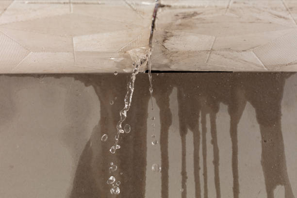 Professional Water Damage Inspection technician working in Williamsport, OH